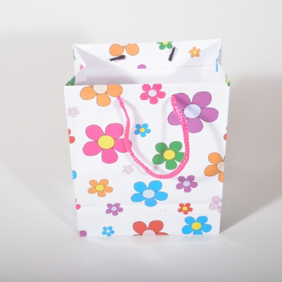 glitzy gift bag 23 x 12 x 10cm